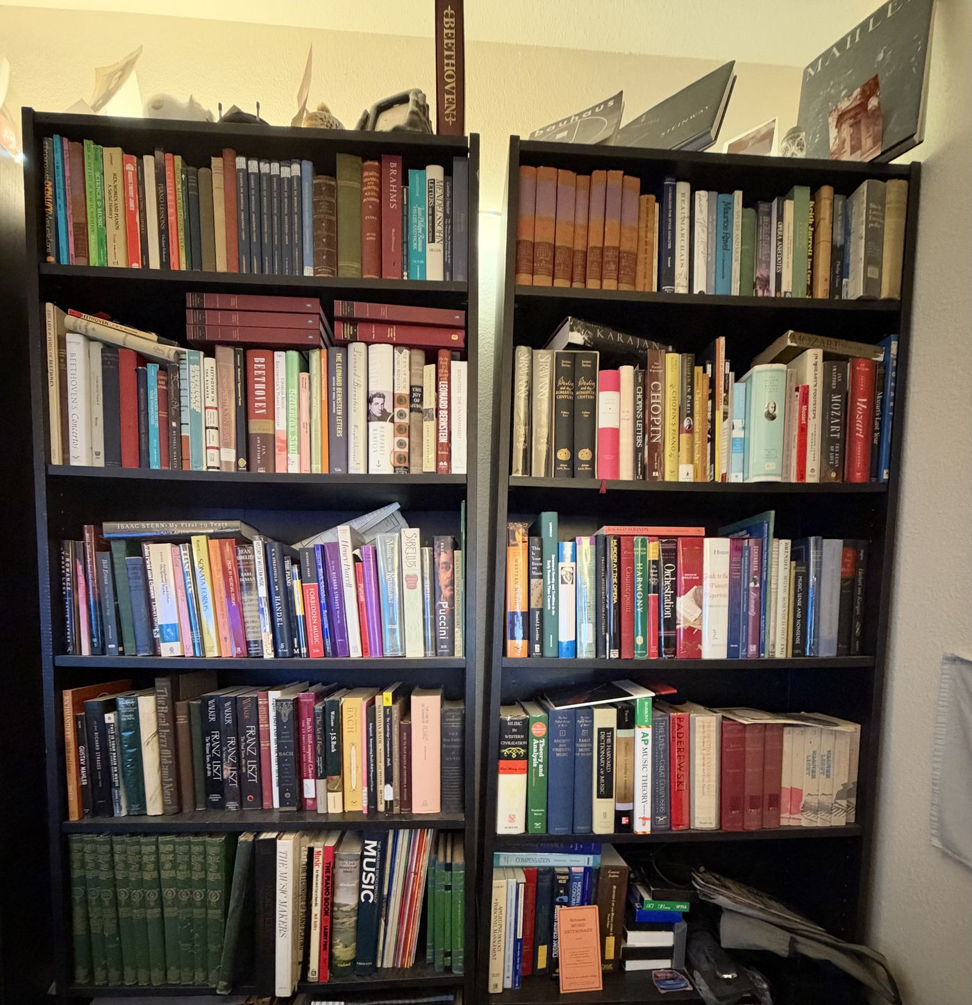 Two tall black bookcases holding the music books in this library: biographies, letters, and studies of Beethoven, Brahms, Liszt, Bach, Chopin, and Mozart among them.